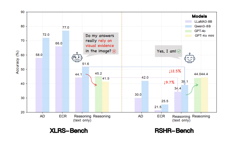 RSHR-Bench motivation